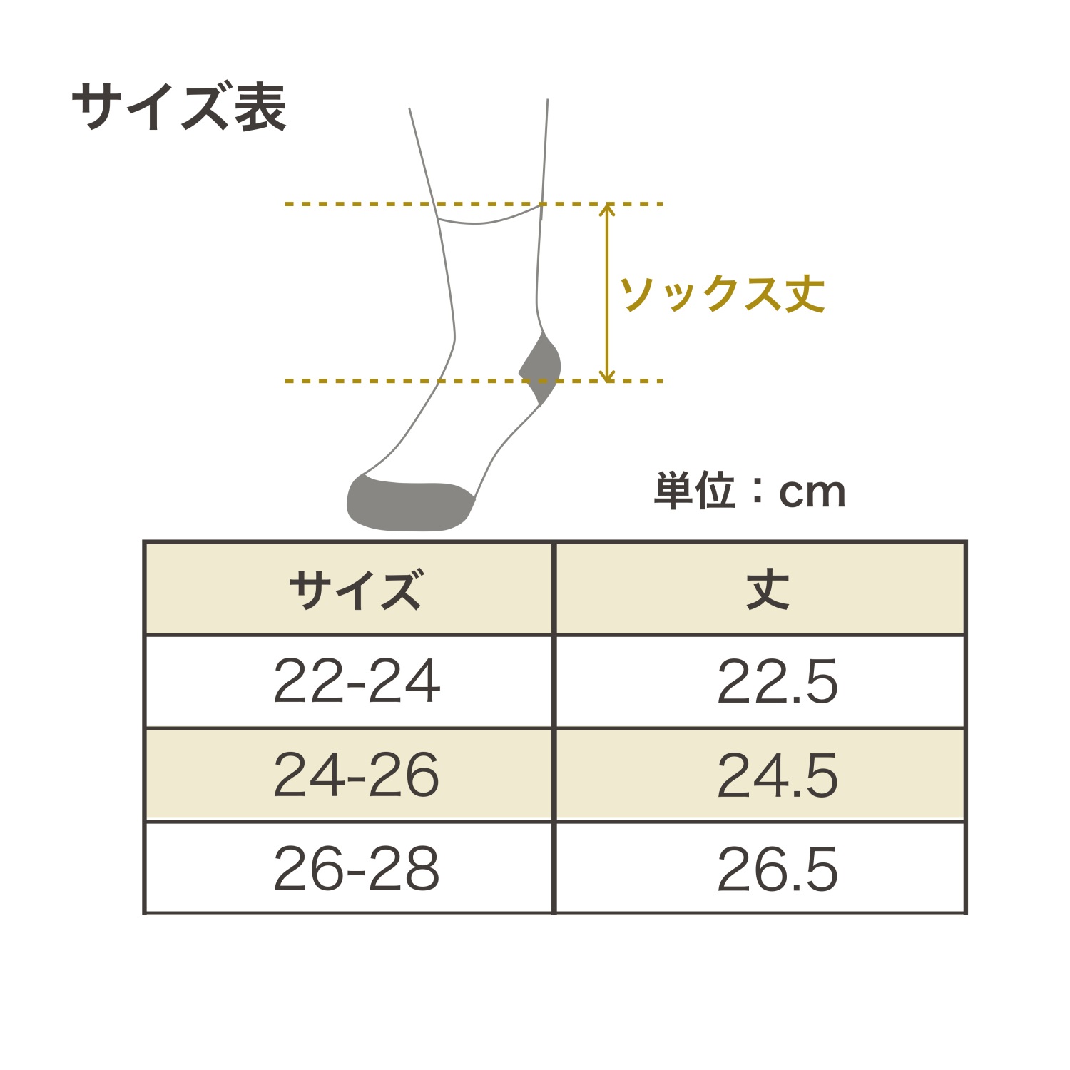 サイズ表