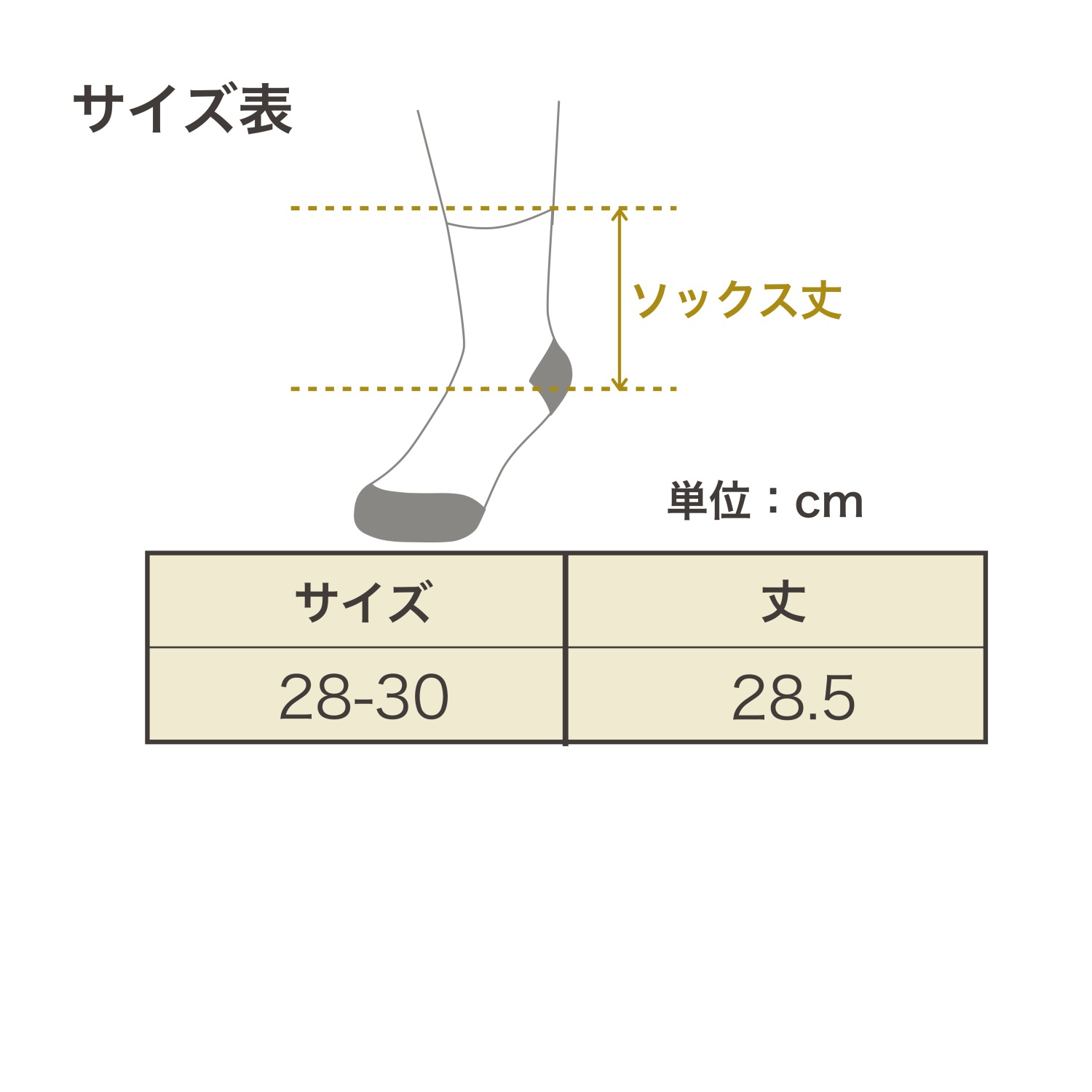 サイズ表