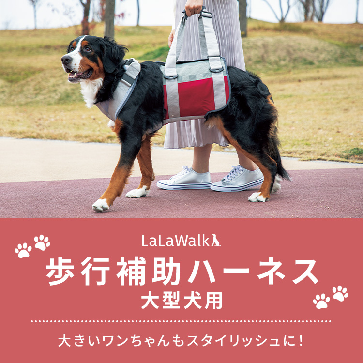 いつまでも自分の足で歩けるように、歩行補助ハーネスLaLaWalk