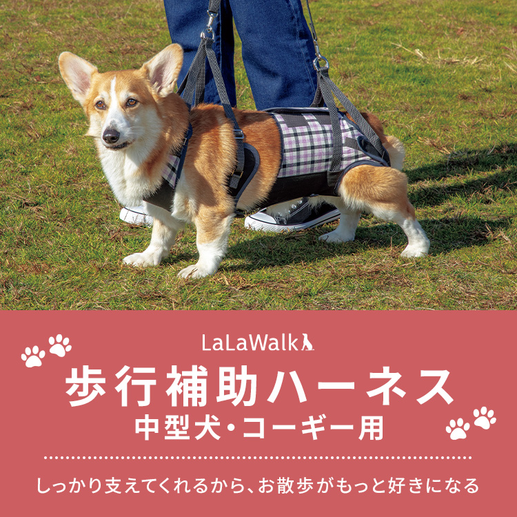 いつまでも自分の足で歩けるように、歩行補助ハーネスLaLaWalk