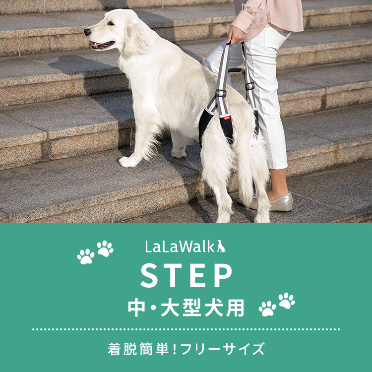 いつまでも自分の足で歩けるように、歩行補助ハーネスLaLaWalk