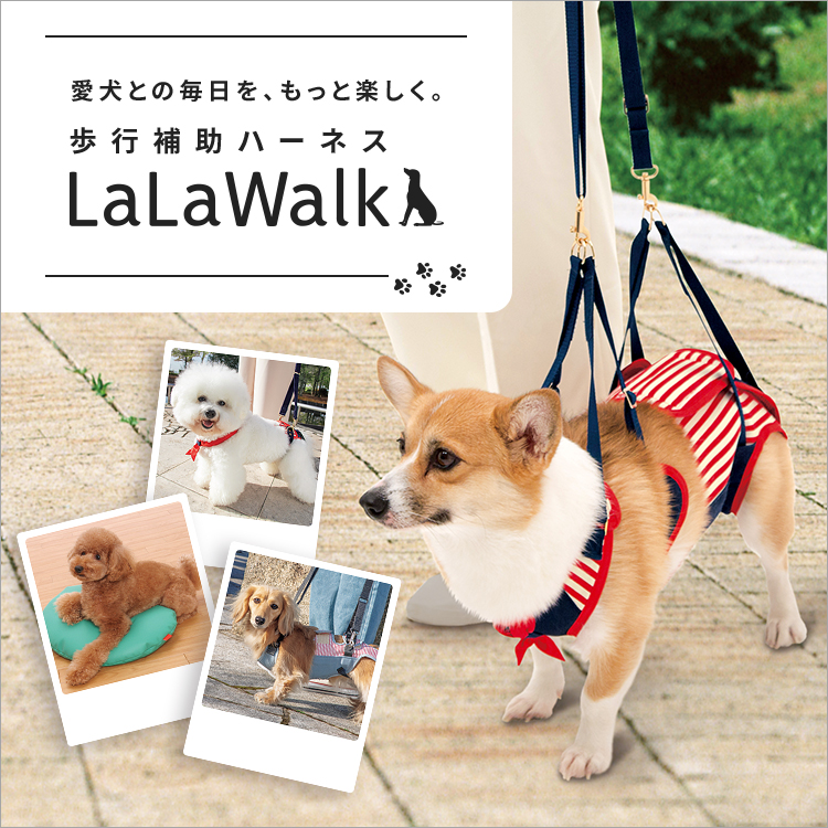 LaLa walk 歩行補助ハーネス-