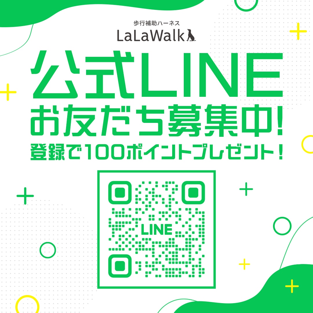 公式LINEお友だち募集中!登録で100ポイントプレゼント!